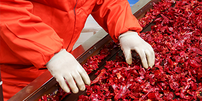 甜椒碎批發(fā)-青島大豐食品