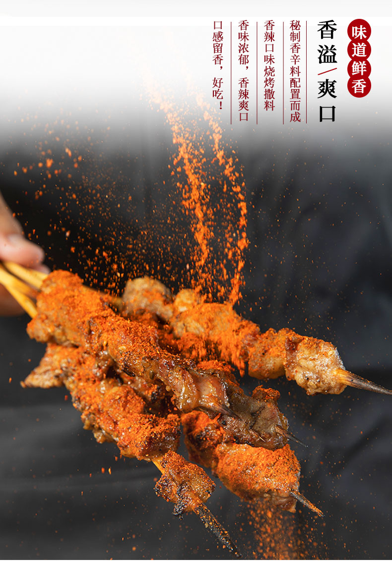 撩一味燒烤撒料調(diào)味料招商